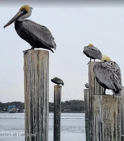 $249,000 | 1453 Henry Street, Jacksonville, FL 32233