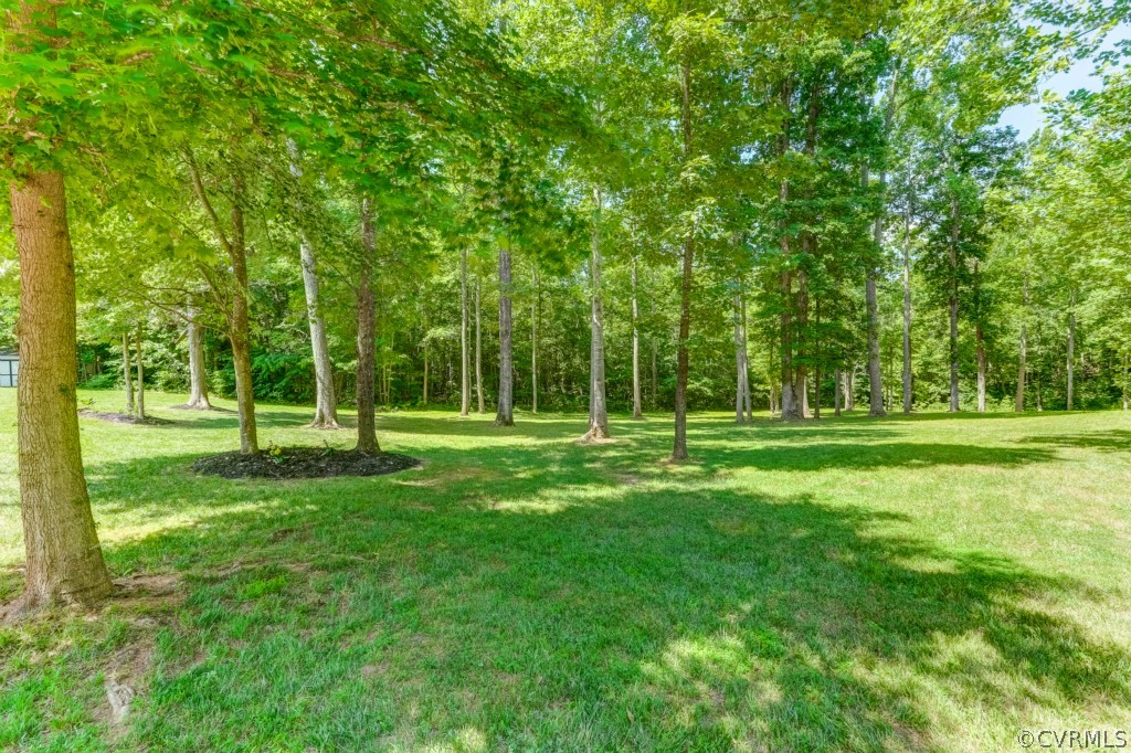 3900 County Line Road Kents Store, VA 23084 - Photo 3 of 24