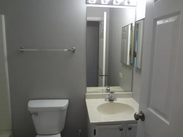 a bathroom with a sink and a toilet