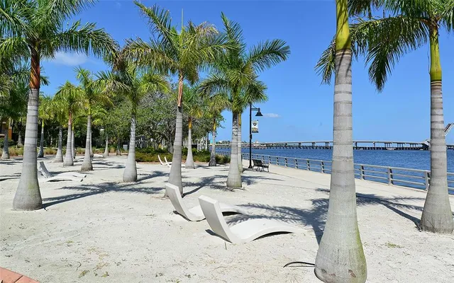 a row of palm trees and swimming pool in the backyard of a house