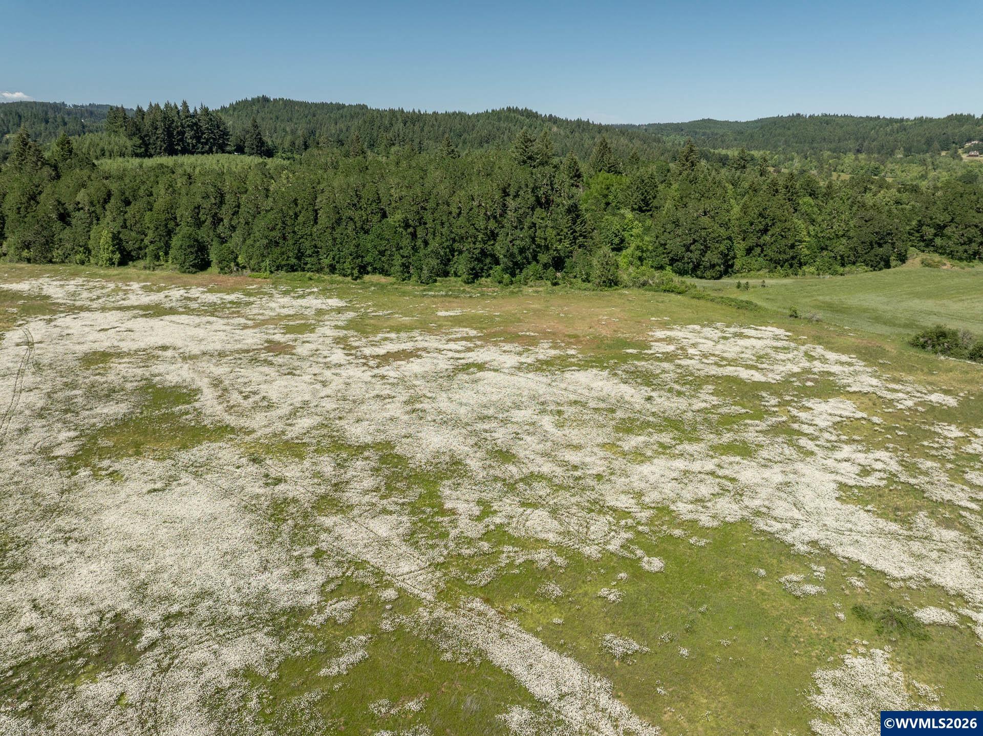 17940 Falls City Road Dallas, OR 97338 - Photo 9 of 11