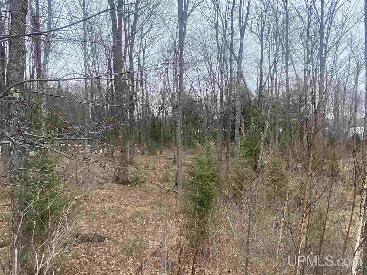 Tbd West Tamarack Lake Road, Unit 17 Iron River, MI 49935 - Photo 33 of 45