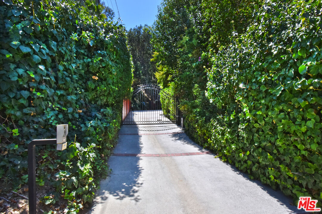 a view of a pathway in a garden