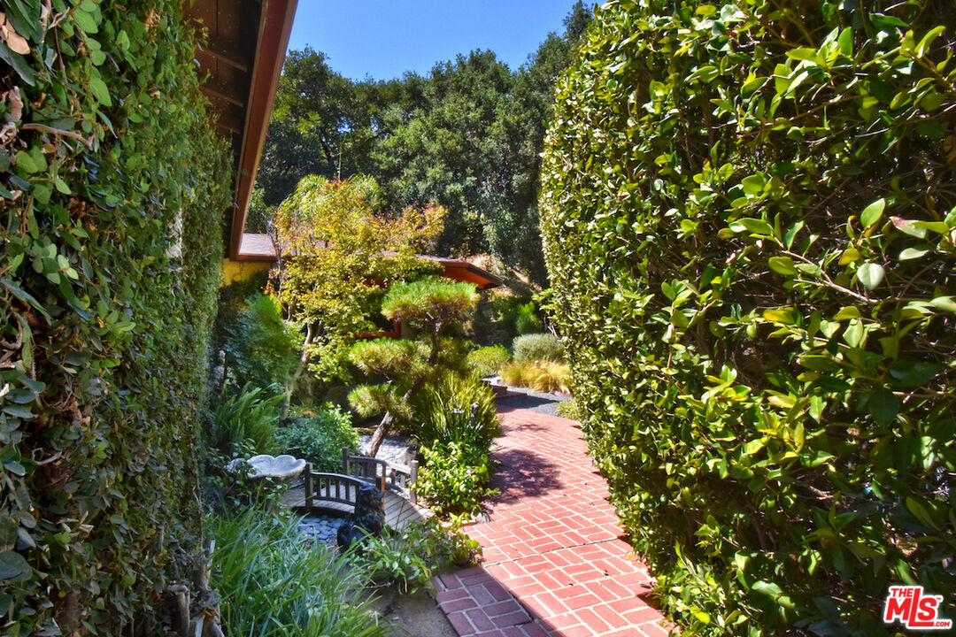 3833 Woodcliff Road Sherman Oaks, CA 91403 - Photo 42 of 52 a view of a garden with plants and trees
