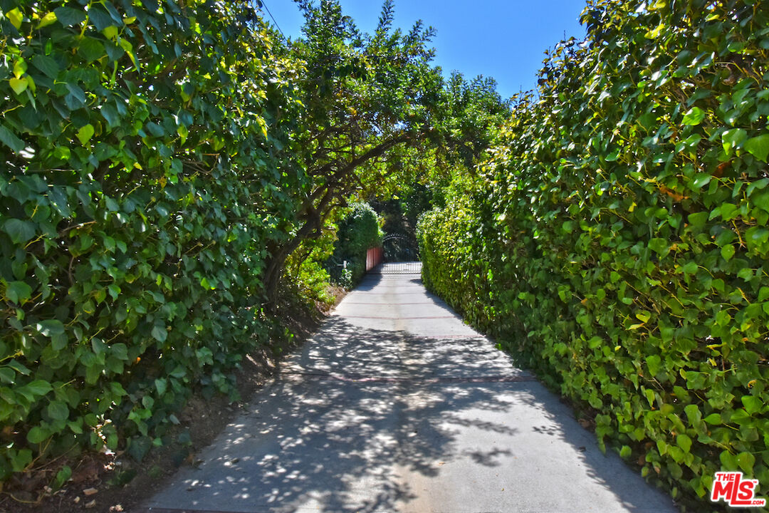 3833 Woodcliff Road Sherman Oaks, CA 91403 - Photo 51 of 52 a view of a pathway both side of yard