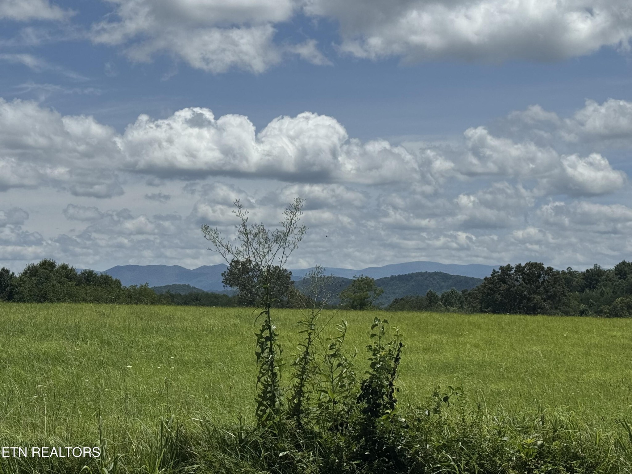 131 Lee Road Tellico Plains, TN 37385 - Photo 6 of 24 Gallery Image 6