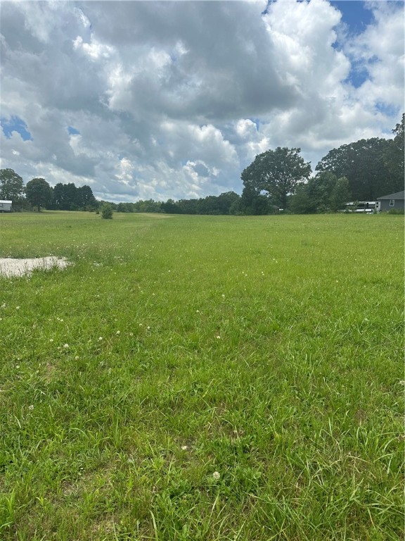 0 Hwy 86 & Major Road Piedmont, SC 29673 - Photo 4 of 4
