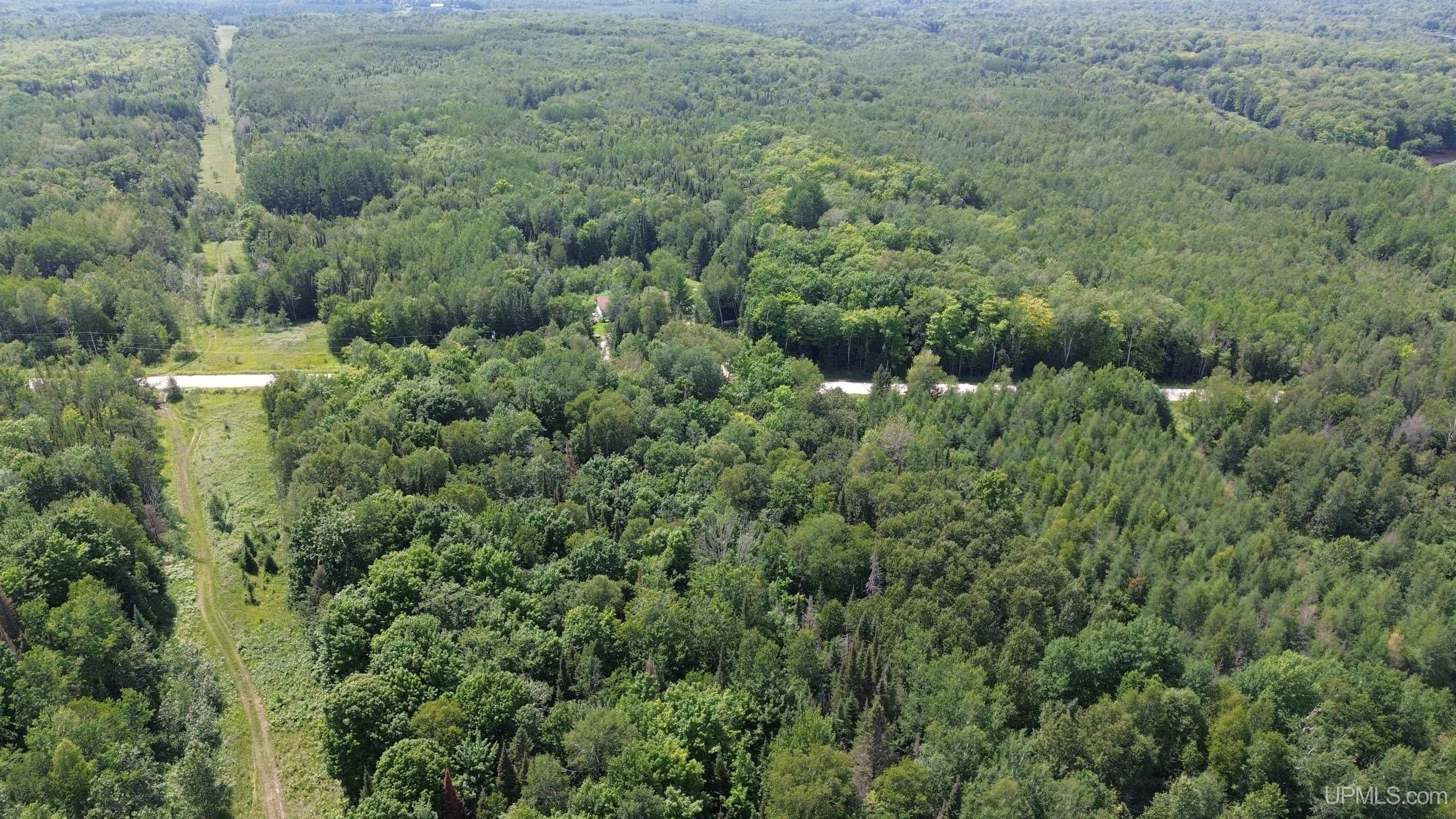 2002 Merwin Creek Road Gulliver, MI 49840 - Photo 14 of 15 Gallery Image 14