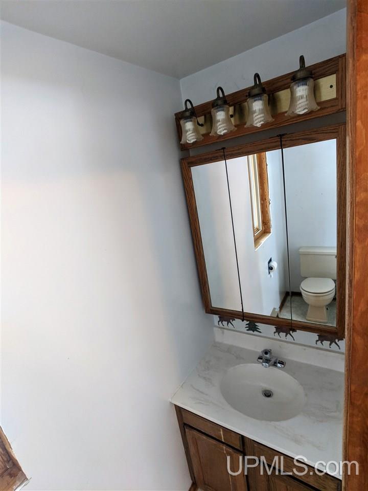 282 Sunset Lake Road Iron River, MI 49935 - Photo 10 of 27 Gallery Image 10