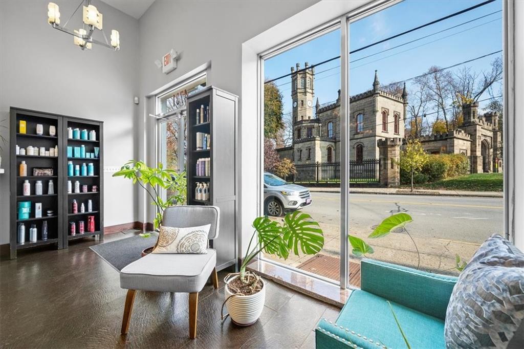 4731 Butler Street Pittsburgh, PA 15201 - Photo 6 of 50 a living room with patio furniture and a potted plant