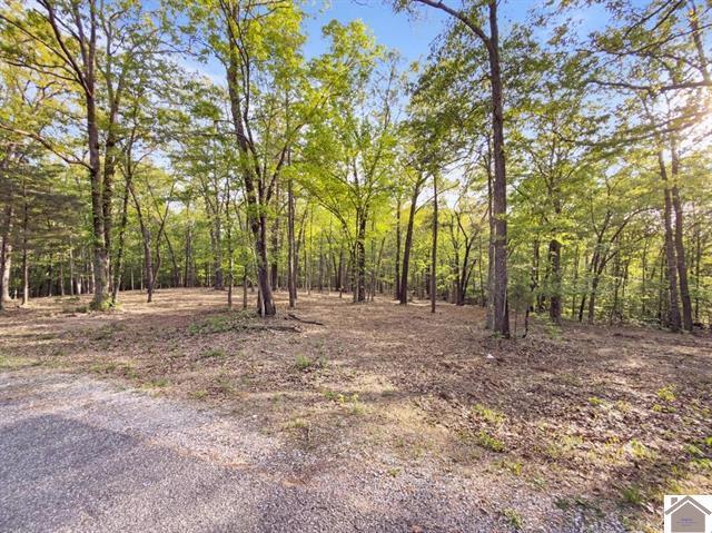 Lot 19-20 Post Oak Road Benton, KY 42025 - Photo 24 of 41 136588-443150ea-1a2d-4489-9e39-65c60c058