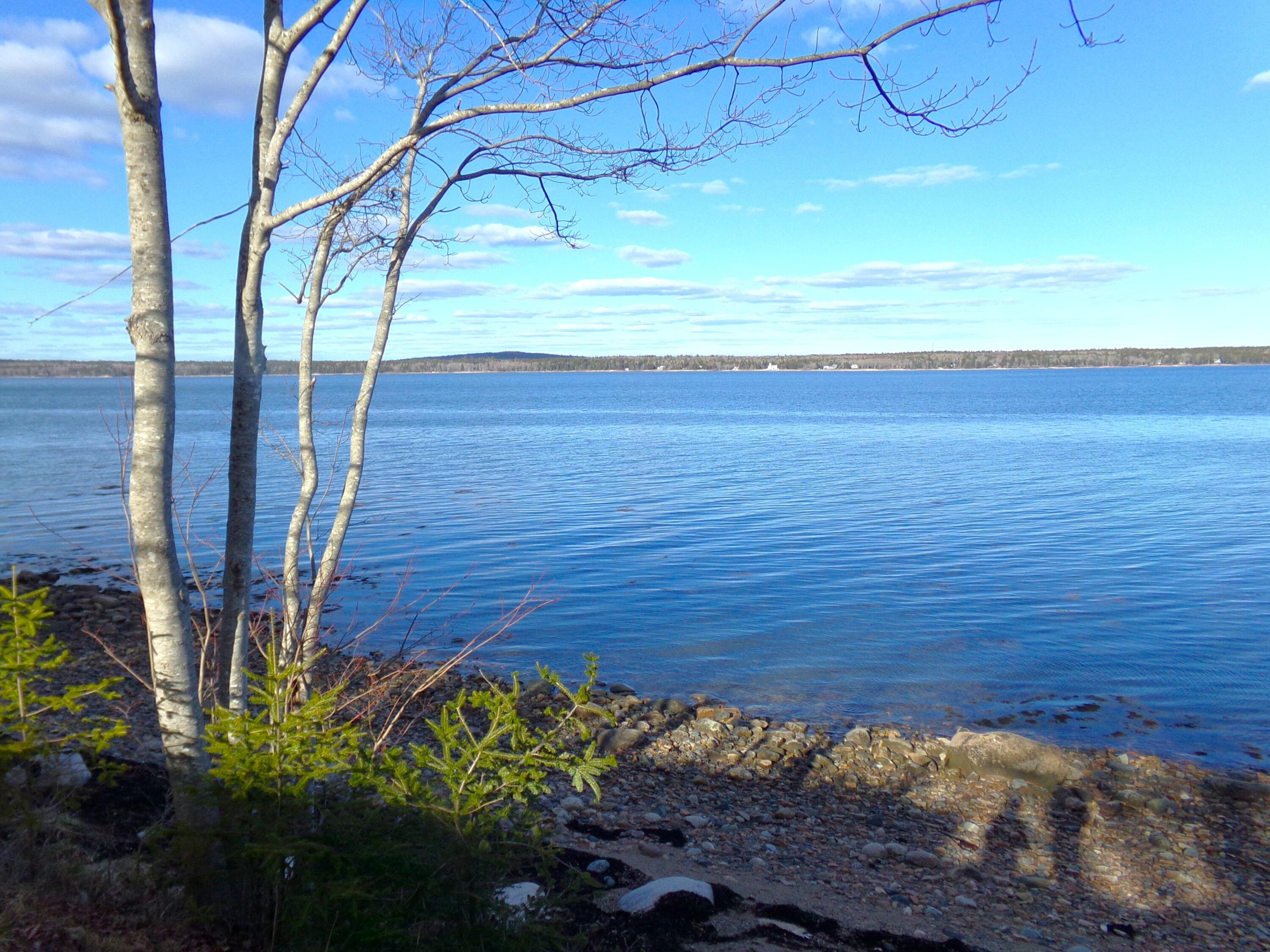 515 Paul Bunyan Road Corea, ME 04624 - Photo 6 of 52