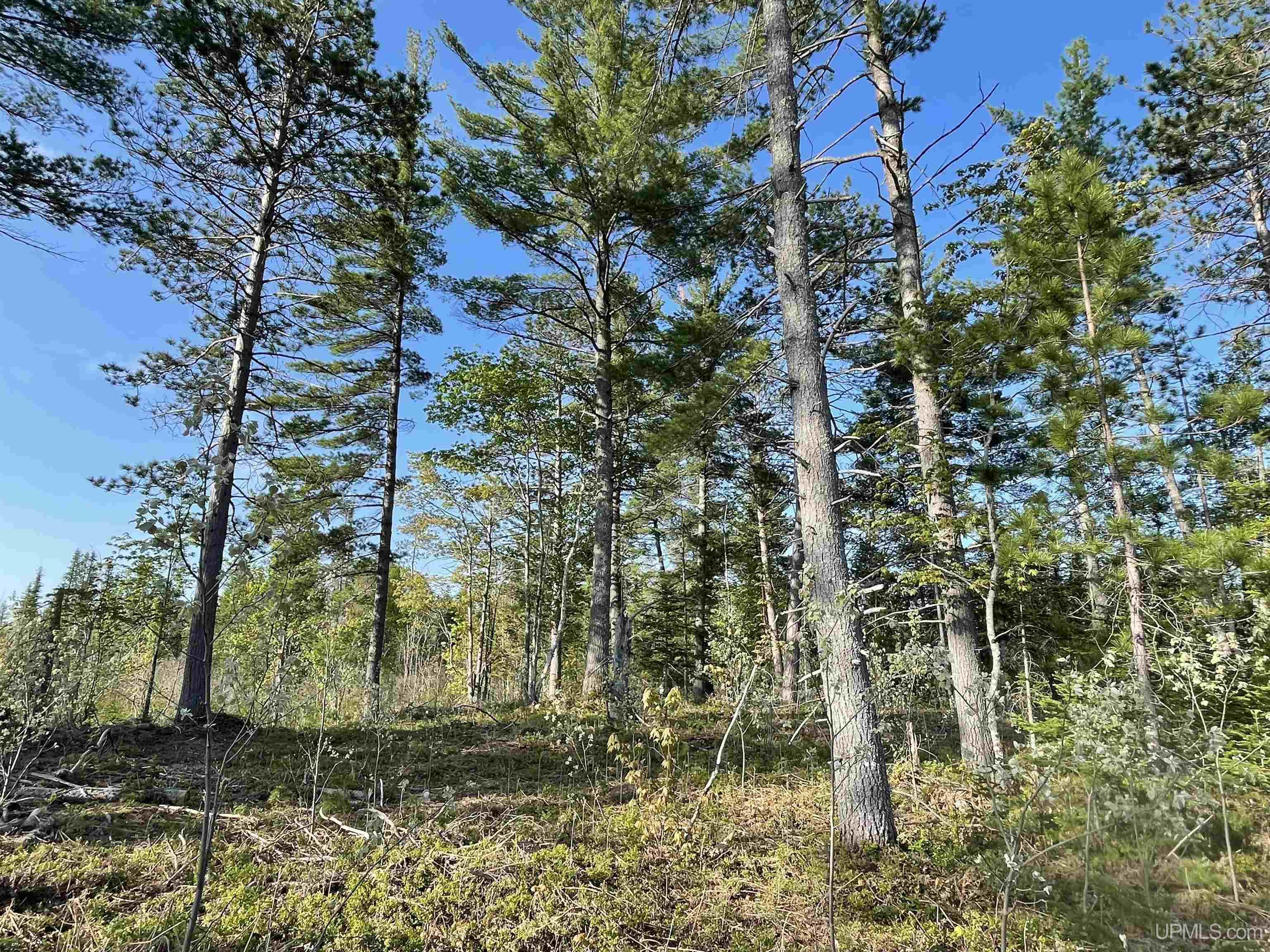 Tbd Tbd Hay Meadow Road Manistique, MI 49854 - Photo 28 of 51