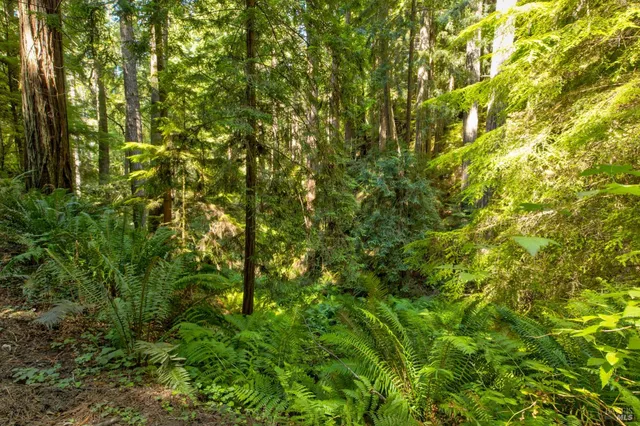 $235,000 | 33170 Frog Pond Road, Little River, CA 95456