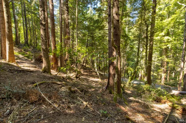 $235,000 | 33170 Frog Pond Road, Little River, CA 95456