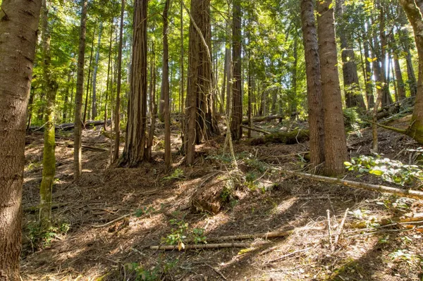 $235,000 | 33170 Frog Pond Road, Little River, CA 95456