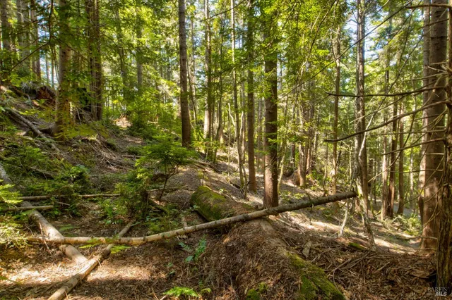 $235,000 | 33170 Frog Pond Road, Little River, CA 95456