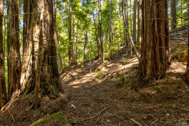 $235,000 | 33170 Frog Pond Road, Little River, CA 95456