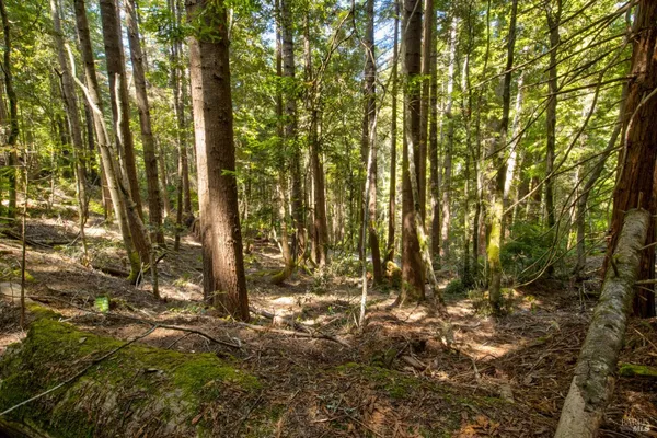 $235,000 | 33170 Frog Pond Road, Little River, CA 95456