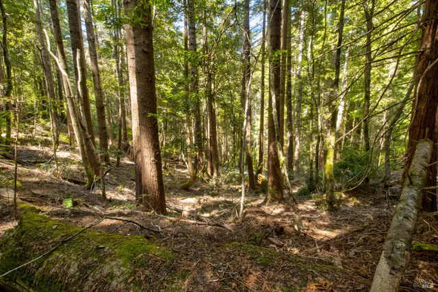 $235,000 | 33170 Frog Pond Road, Little River, CA 95456