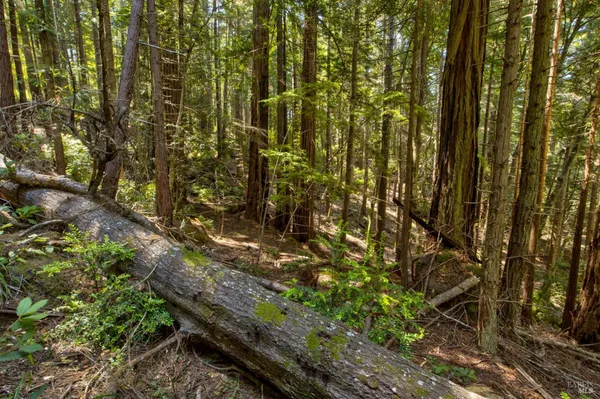 $235,000 | 33170 Frog Pond Road, Little River, CA 95456