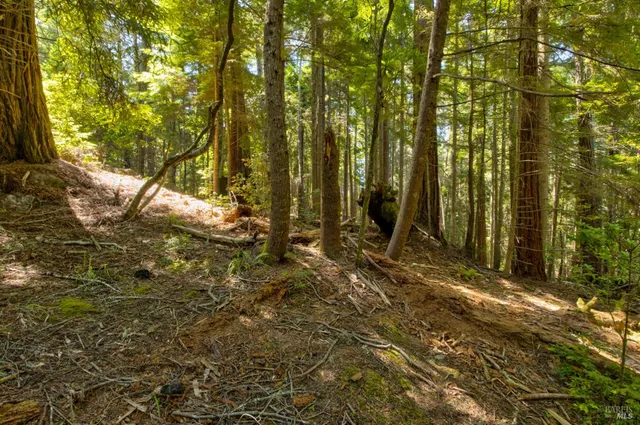 $235,000 | 33170 Frog Pond Road, Little River, CA 95456