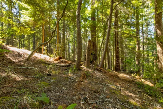 $235,000 | 33170 Frog Pond Road, Little River, CA 95456