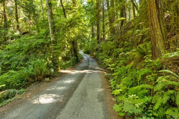$235,000 | 33170 Frog Pond Road, Little River, CA 95456