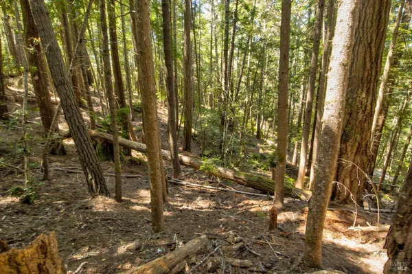 $235,000 | 33170 Frog Pond Road, Little River, CA 95456