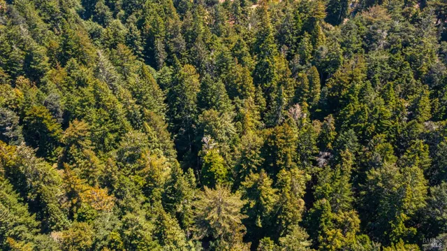 $235,000 | 33170 Frog Pond Road, Little River, CA 95456