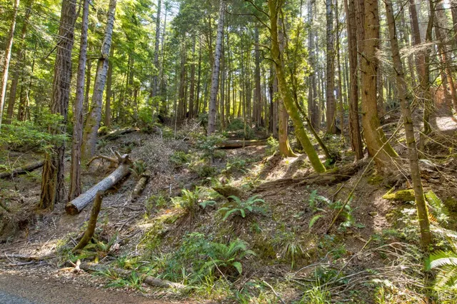 $235,000 | 33170 Frog Pond Road, Little River, CA 95456