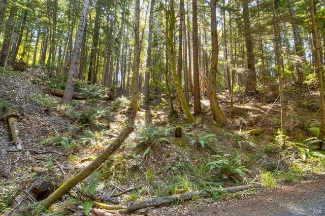 $235,000 | 33170 Frog Pond Road, Little River, CA 95456