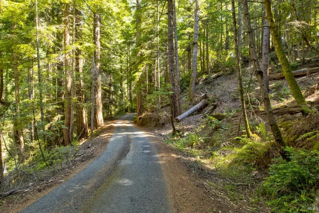 $235,000 | 33170 Frog Pond Road, Little River, CA 95456