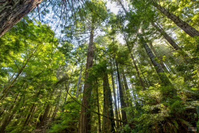 $235,000 | 33170 Frog Pond Road, Little River, CA 95456