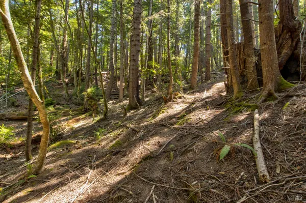 $235,000 | 33170 Frog Pond Road, Little River, CA 95456