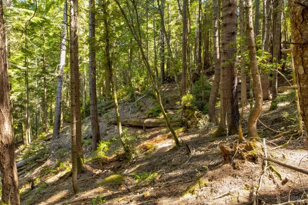 $235,000 | 33170 Frog Pond Road, Little River, CA 95456