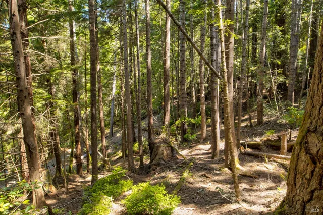 $235,000 | 33170 Frog Pond Road, Little River, CA 95456