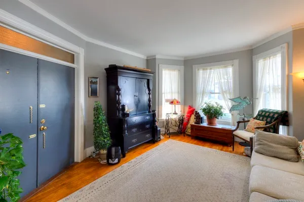 a living room with furniture and potted plant