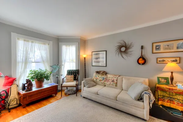 a living room with furniture and a potted plant
