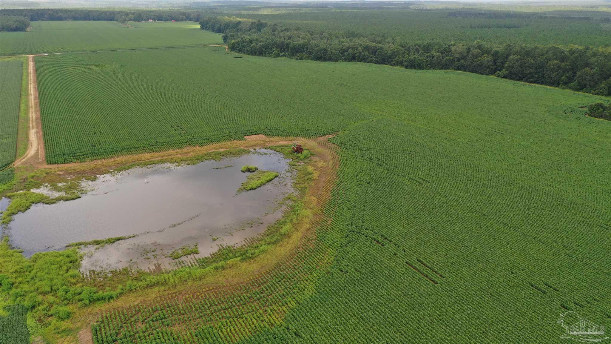-ff Presley Road Atmore, AL 36502 - Photo 2 of 23