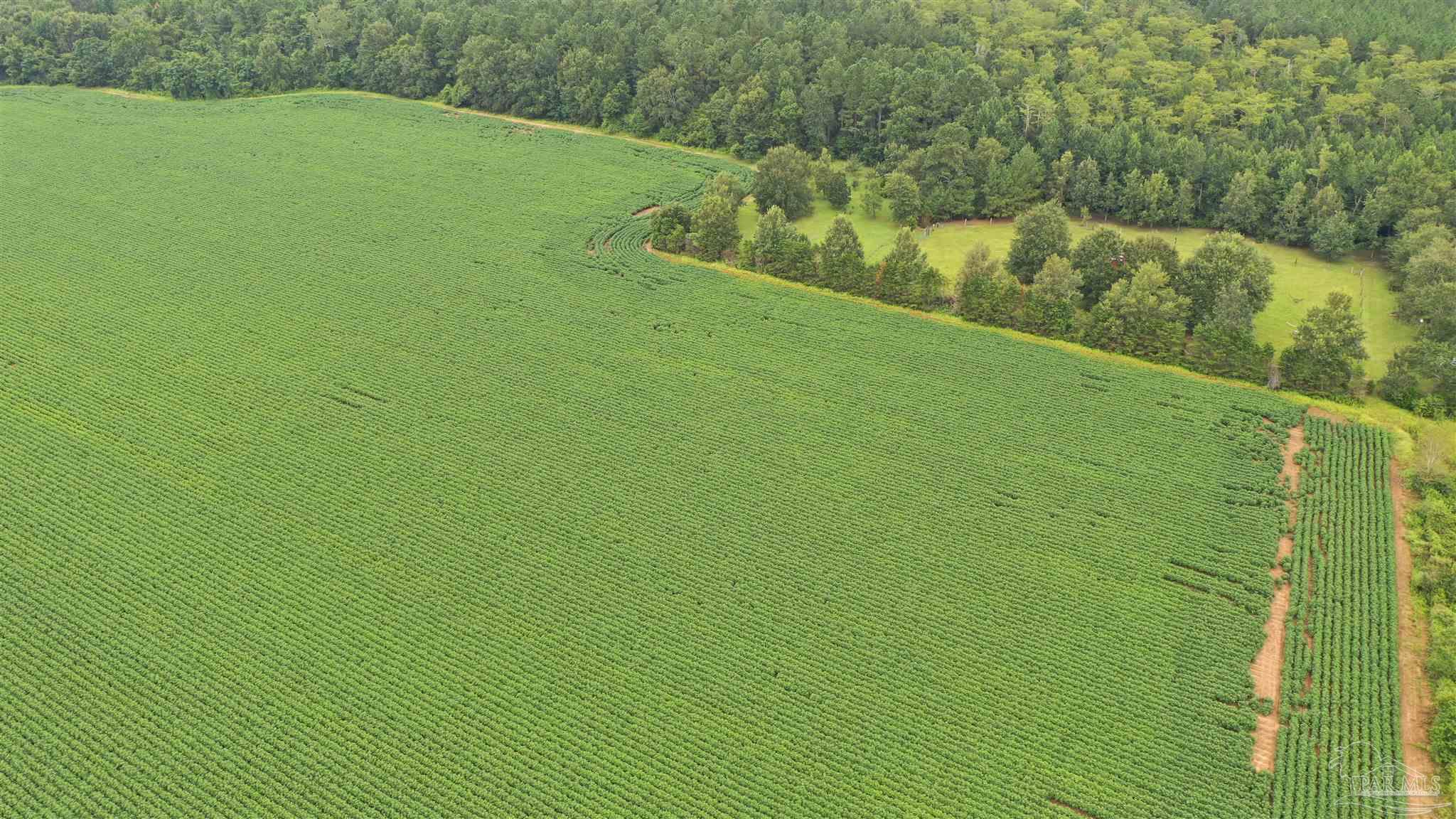 -ff Presley Road Atmore, AL 36502 - Photo 5 of 23