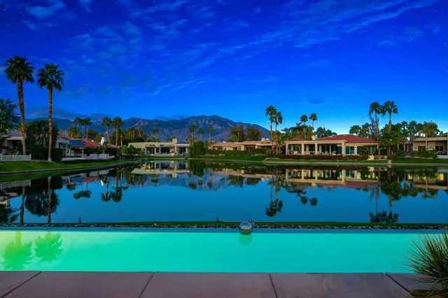 a view of a backyard with plants and palm trees