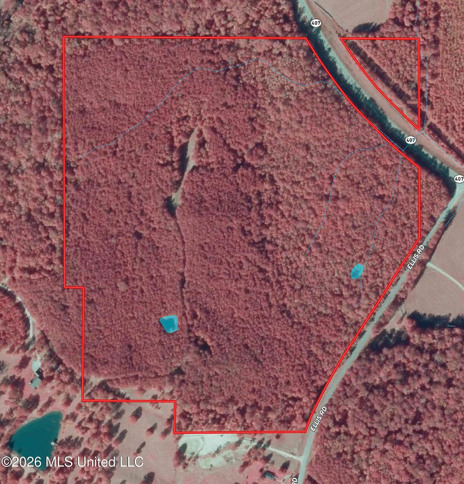 407 Highway Kilmichael Ms 39747 French Camp, MS 39745 - Photo 23 of 26 Infared Map Montgomery 82