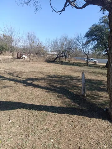 a view of dirt yard with a large tree