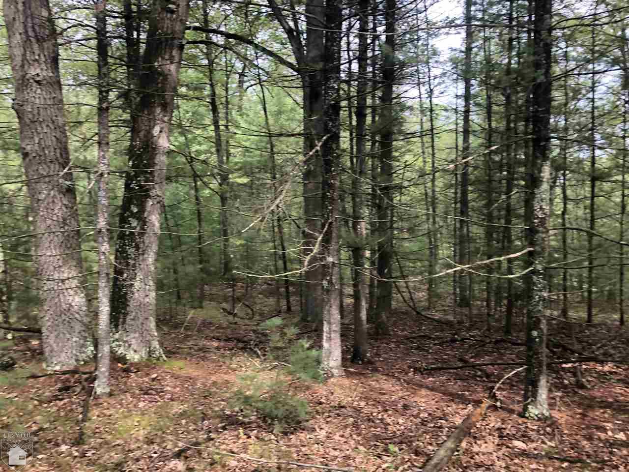 0 Carpenter Road Tawas City, MI 48748 - Photo 4 of 9