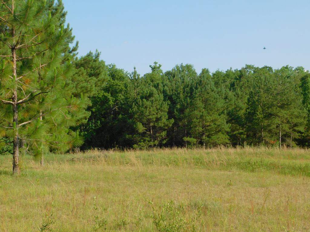 0 Pond Road Andalusia, AL 36421 - Photo 1 of 15 Gallery Image 1