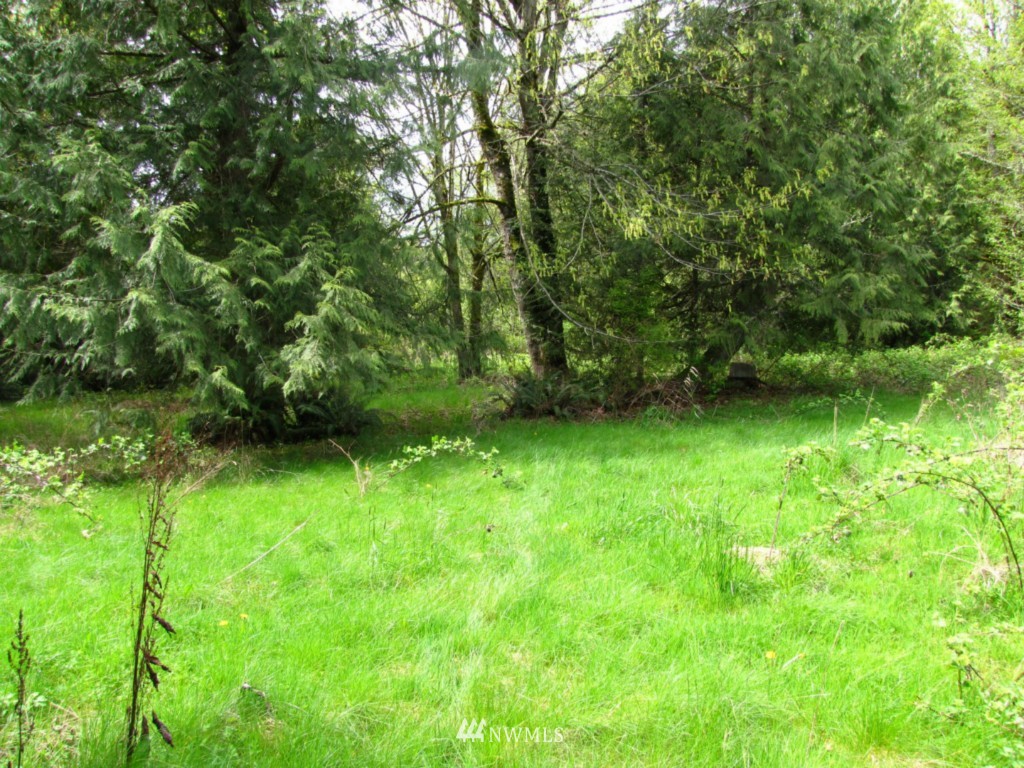 90 Embody Road Port Ludlow, WA 98365 - Photo 2 of 6