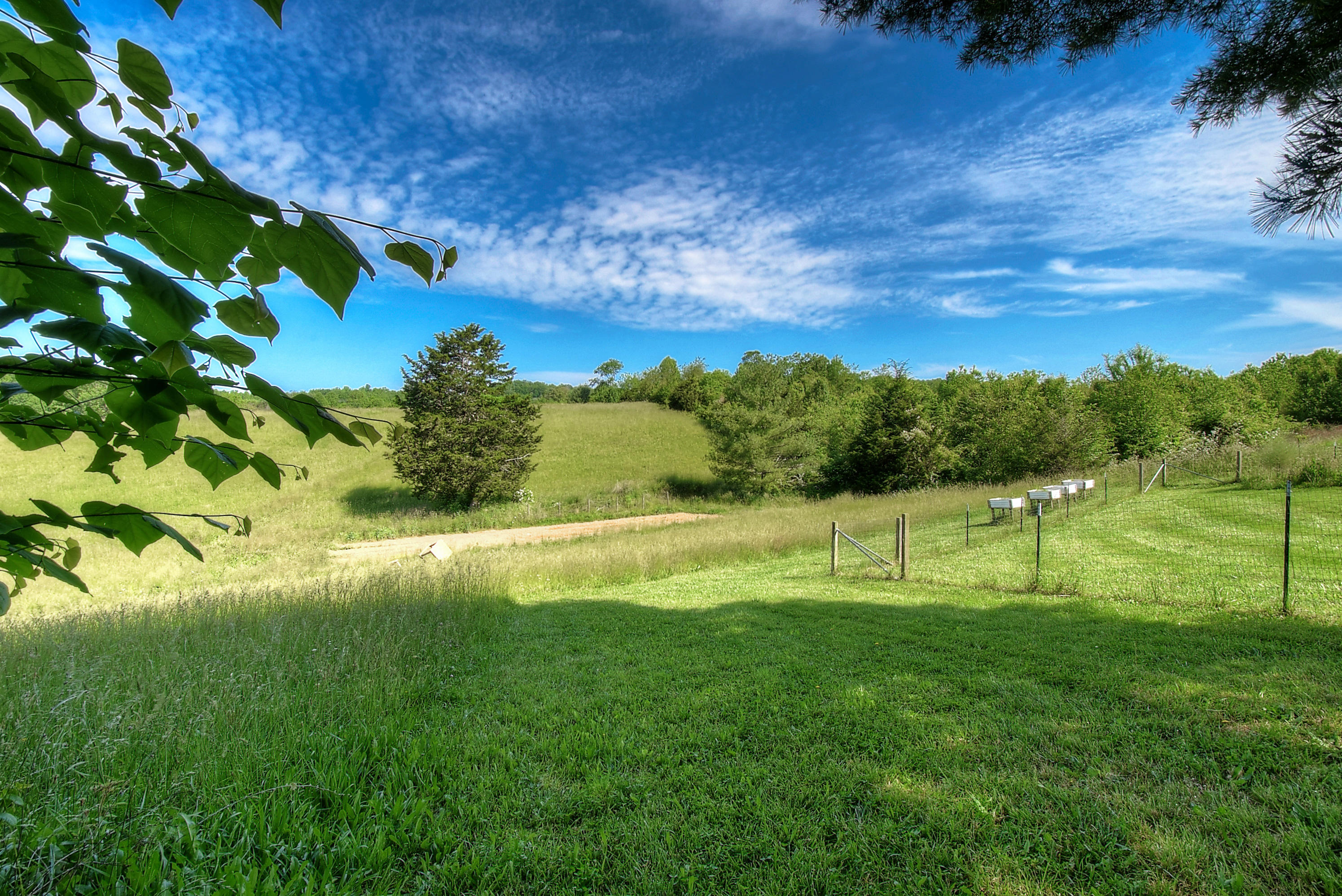 160 Bill Bennett Road Johnson City, TN 37604 - Photo 35 of 39 Pastoral Views
