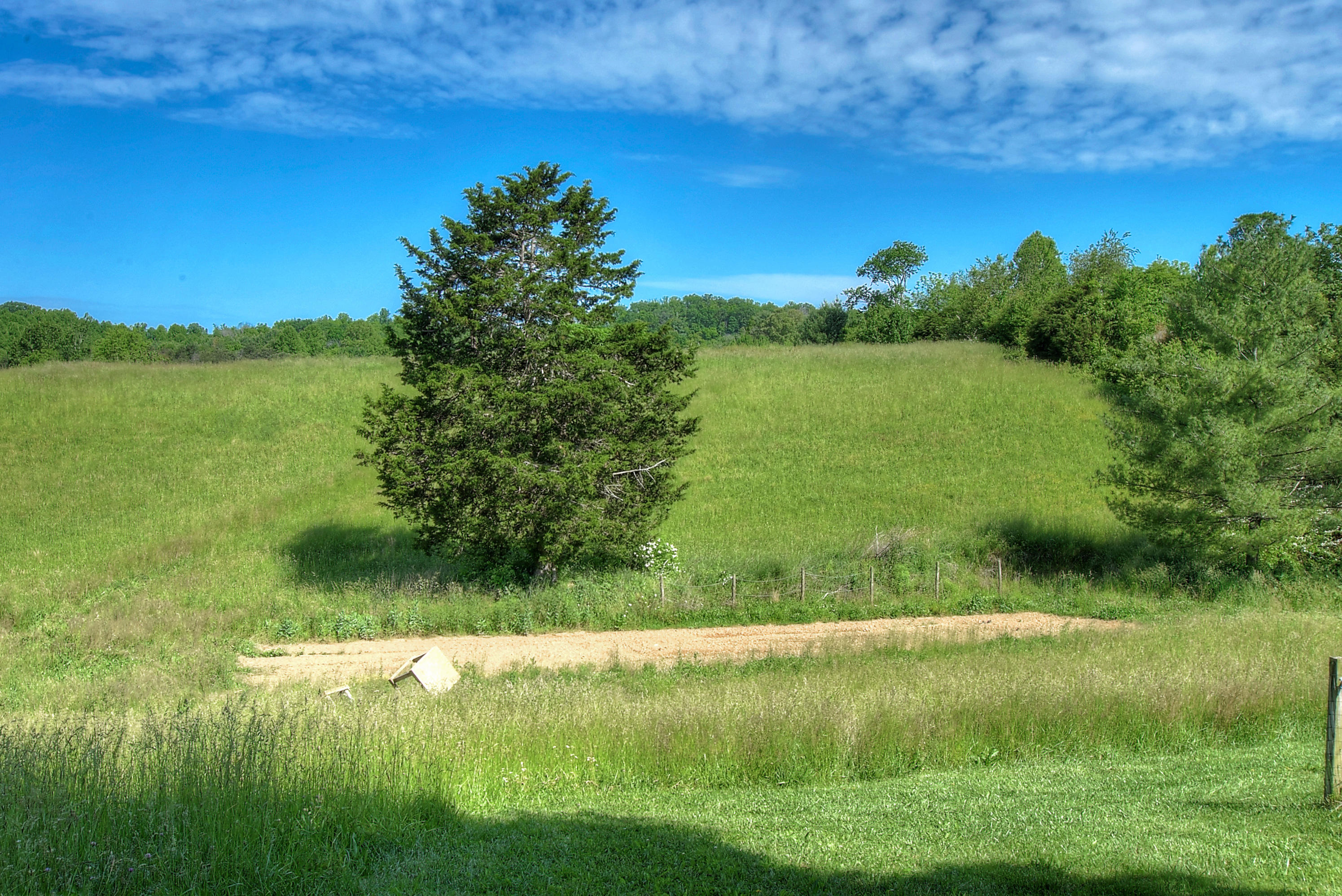 160 Bill Bennett Road Johnson City, TN 37604 - Photo 36 of 39 Room for Horses