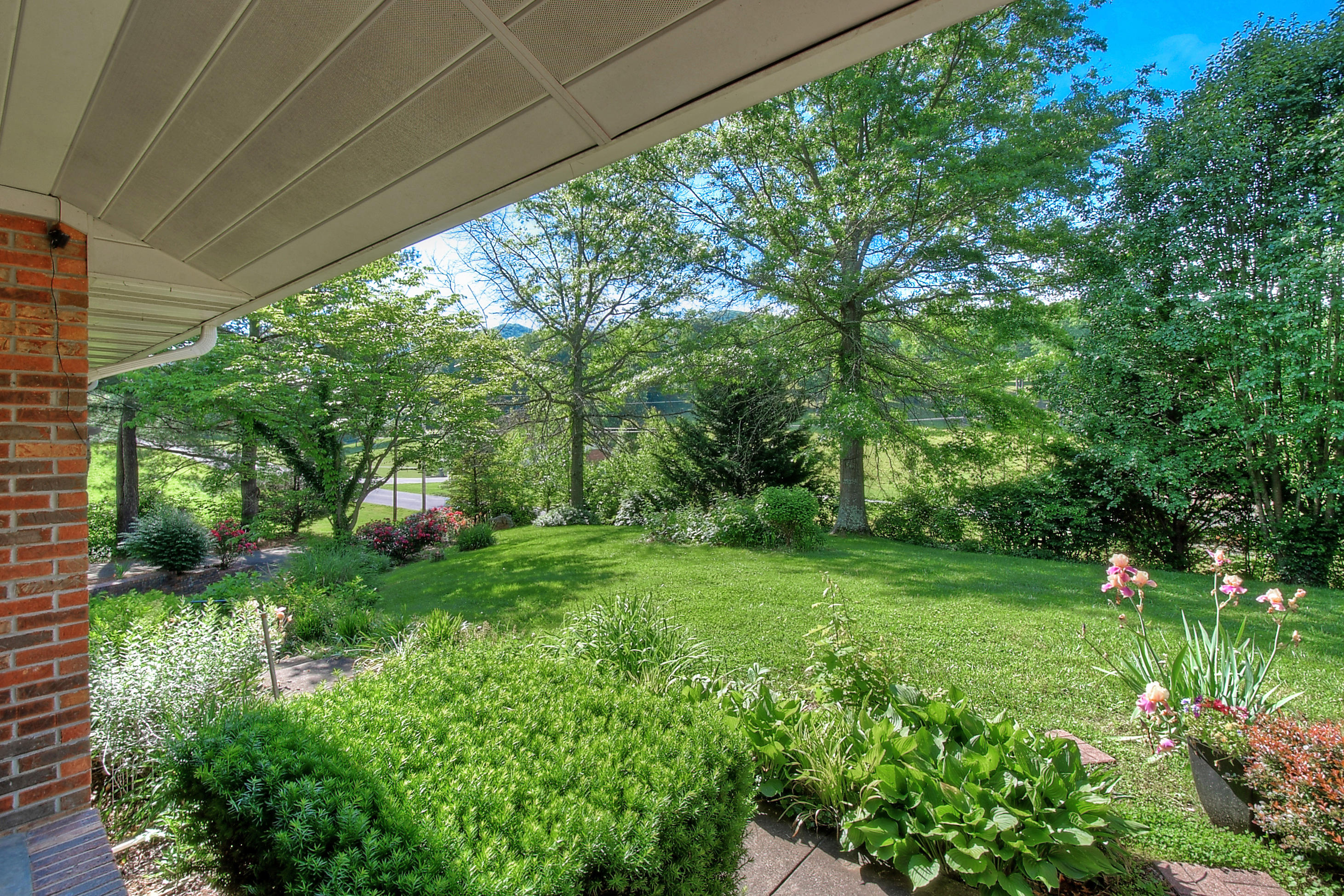 View from Front Porch
